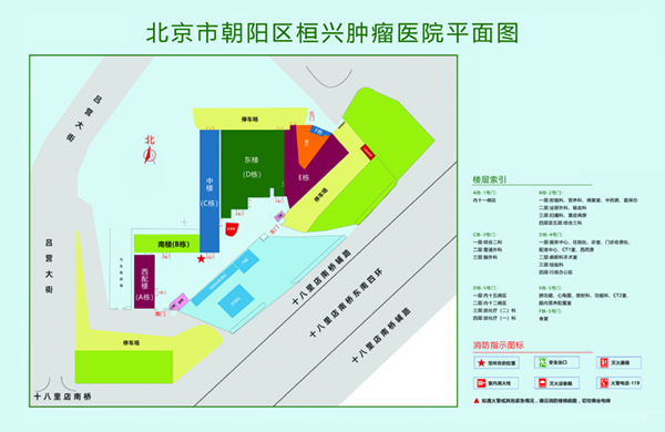 我要操我要射我要干免费观看北京市朝阳区桓兴肿瘤医院平面图